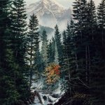 image epiphany-jpg