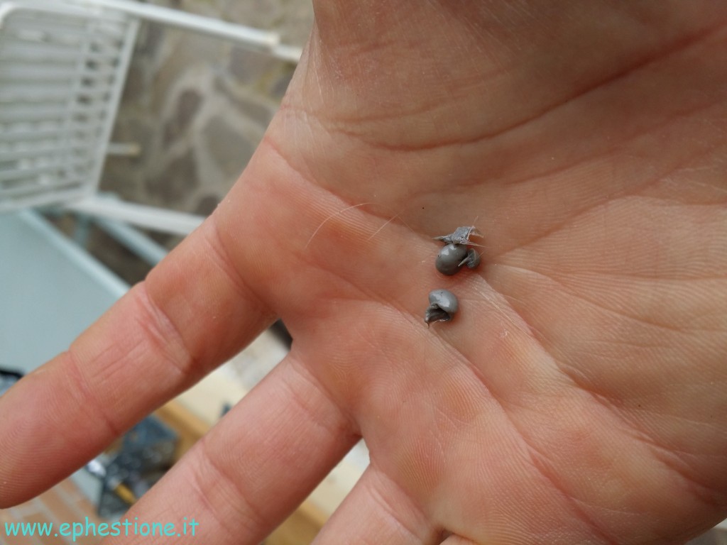 extruded PET droplets